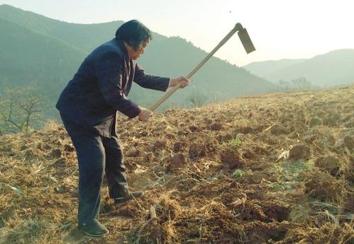 申纪兰的为民情怀 申纪兰的为民情怀