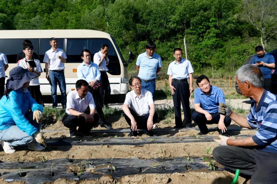 夏县县领导深入泗交镇调研脱贫攻坚、土地流转、拆旧复垦工作