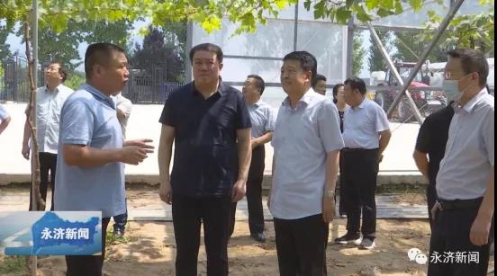 永济领导陪同运城市政协调研现代农业产业集群发展情况