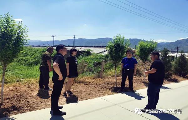 盐湖区3家单位被选为农业科技试验示范基地 盐湖区3家单位被选为农业科技试验示范基地