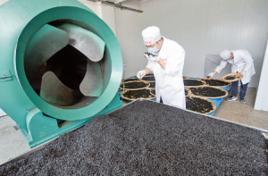 山西龙鸣农业科技公司杜仲茶被授权使用“山西药茶”区域公用品牌