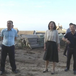 永济市长黄亚平指导尧王台景区民宿产业发展工作