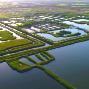 永济伍姓湖：富锦湿地 候鸟天堂