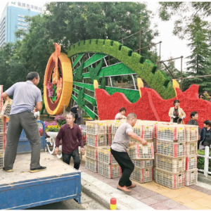 运城市区15组国庆景观绿雕即将亮相