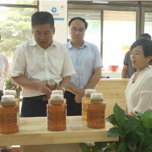 平陆县委书记调研指导企业消费扶贫工作