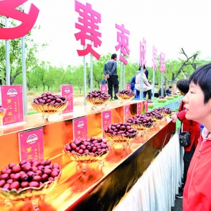 稷山板枣强县富民庆丰收