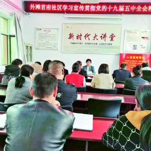 外滩首府社区组织居民学习党的十九届五中全会精神