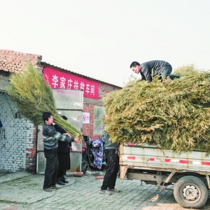 稷山扶贫车间办到李家庄村