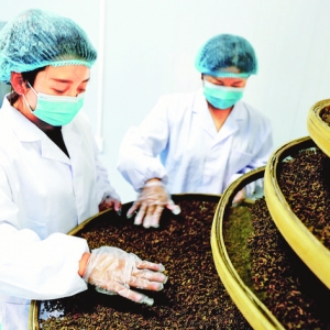 山西本草康生物医药公司药茶走出了家门