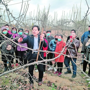 盐湖区残联33场农村实用技术集中培训283名残疾人