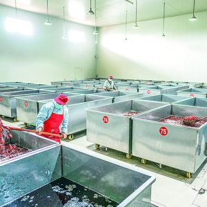 绛县经济开发区楂蜜饯带动周边2000余户增收