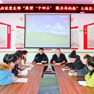 闻喜北城社区党支部重温了入党誓词，学习全会精神