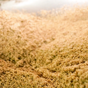 芮城陌南刘堡村的芝麻糖传承“甜蜜”手艺650年