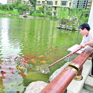 理想城社区被运城市评为2019年度节水型小区