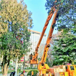 运城市城市管理局更换河东街路灯