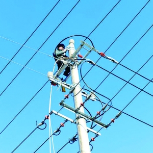 夏县供电公司检修10千伏856东张南线