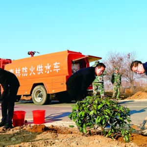 夏县党员干部在兴隆至大洋公路线上栽植苗木