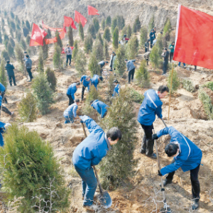稷山县党员干部在吕梁山麓义务植树