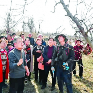 稷山县农业农村局走进清河镇吴壁村现场传授果树管理知识