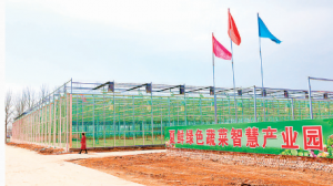 夏县南大里乡夏鲜绿色智慧产业园成为全省一流的智慧农业园区