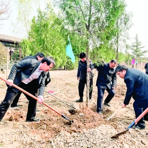 解州关帝庙景区组织员工在御园内植树绿化