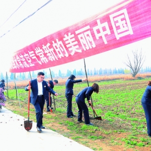 运城市信用联社义务为盐湖区王桐村栽植国槐