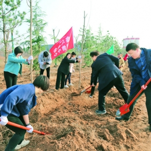 运城鑫马集团党支部在盐湖高新技术产业开发区义务植树200余棵