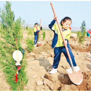 盐湖区魏风小学到解州镇蚕坊村植树