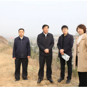 河津市市长调研城市台地整治绿化修复工作