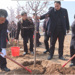 芮城县领导学习党史教育