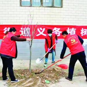 盐湖区兴棉社区春季义务植树为盐湖大地增添新绿