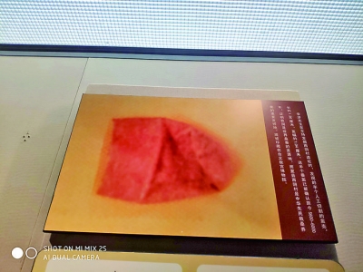 西阴遗址（运城市夏县）首次考古发掘的经过与意义