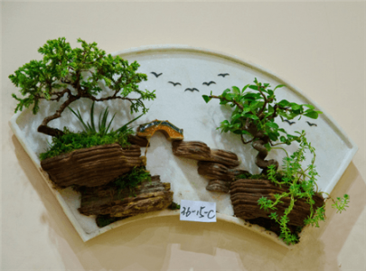 挂壁盆景可分为几类