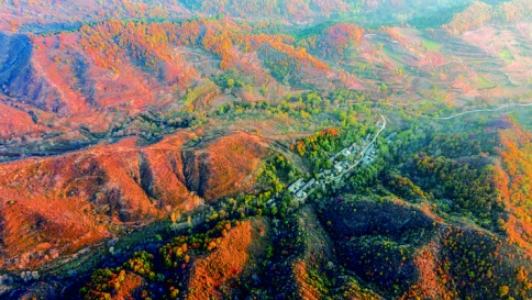秋染河东，运城美啊，别说你看过（组图）