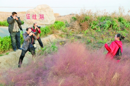 初冬伍姓湖湿地公园影友架起“长枪短炮”