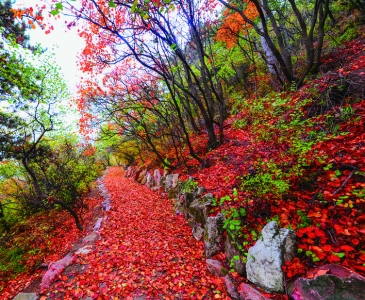 秋染河东，运城美啊，别说你看过（组图）