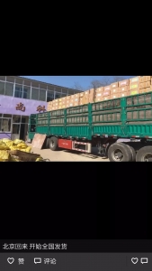 槽吐国内宠物展的各种幺蛾子