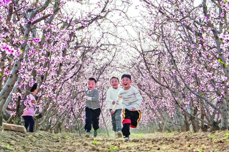 新绛县第八届桃花观光交流会举行