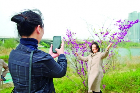 运城市区公园鲜花竞放多彩运城邀您观赏