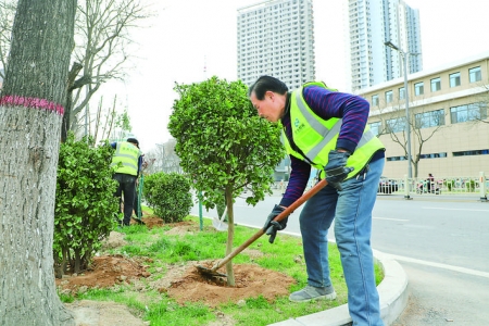 运城市区红旗街绿化工作启动
