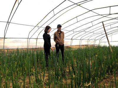 闻喜农商银行裴社支行整村授信带动农户发家致富