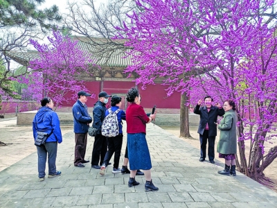 清明小长假运城市又迎一波旅游小高峰