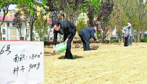 运城市城市管理局启动“植草增色 花满凤城”园林绿化提升行动