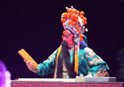 新创大型蒲剧历史剧《忠义千秋》首演丁小强观看