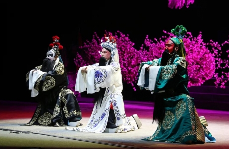 新创大型蒲剧历史剧《忠义千秋》首演丁小强观看