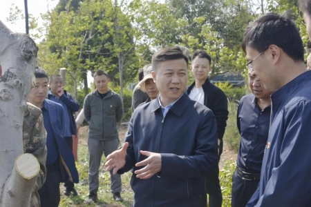 垣曲县委副书记调研核桃产业发展工作