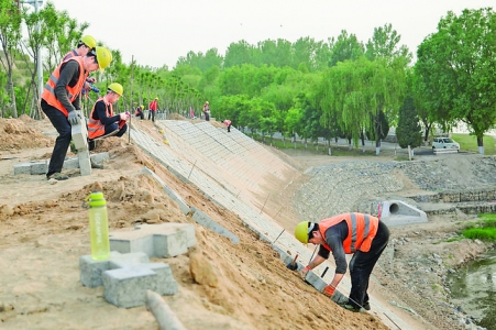 运城市汾河入黄口生态修复保护工程年底完成人工湿地建设4000亩