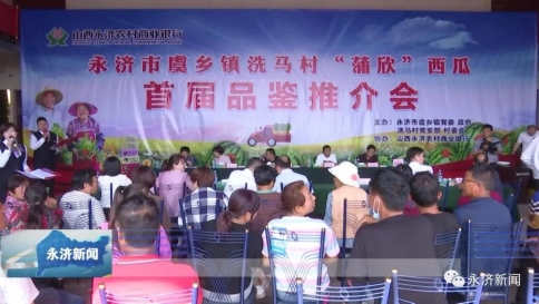 永济市洗马村“蒲欣”西瓜首届品鉴推荐会举行