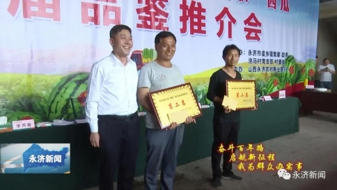 永济市洗马村“蒲欣”西瓜首届品鉴推荐会举行