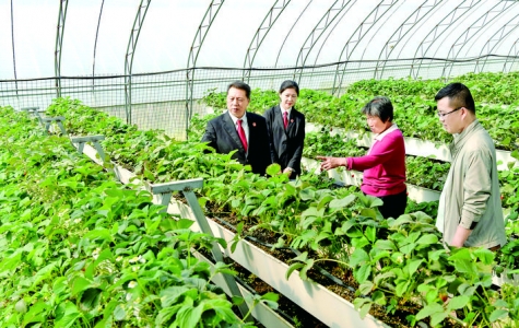 垣曲县人民法院就乡村振兴中农民的法治需求进行解惑释疑